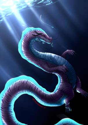 Tidal Shock Drake